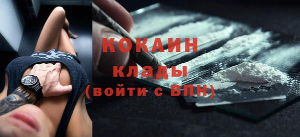 индика Гусиноозёрск