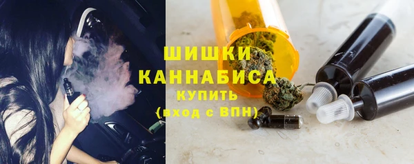 индика Гусиноозёрск