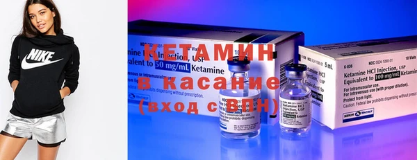 индика Гусь-Хрустальный