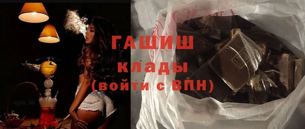 индика Гусиноозёрск
