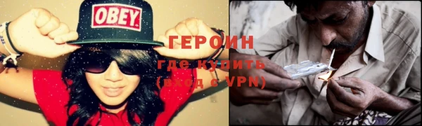 индика Гусь-Хрустальный