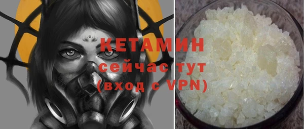индика Гусь-Хрустальный