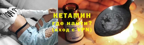 индика Гусь-Хрустальный