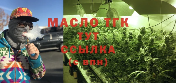 индика Гусь-Хрустальный