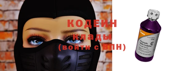 индика Гусиноозёрск