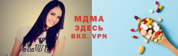 индика Гусь-Хрустальный