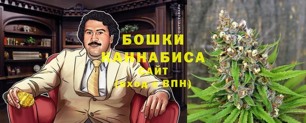 индика Гусь-Хрустальный