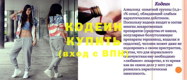 индика Гусиноозёрск