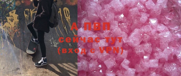 индика Гусь-Хрустальный