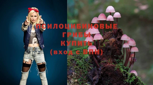индика Гусиноозёрск