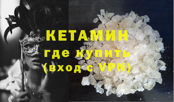 индика Гусь-Хрустальный