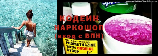 индика Гусиноозёрск