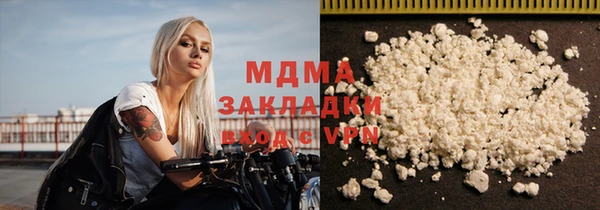 индика Гусь-Хрустальный