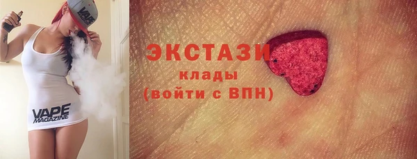 индика Гусиноозёрск
