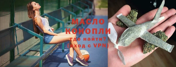 индика Гусь-Хрустальный